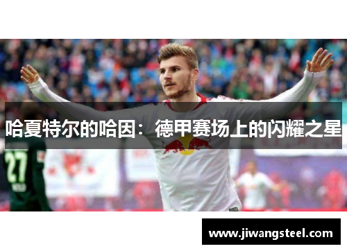 哈夏特尔的哈因：德甲赛场上的闪耀之星